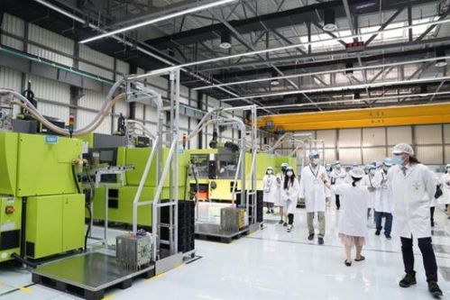 以質(zhì)量和嚴(yán)謹著稱的德企，為何落戶臨港經(jīng)濟技術(shù)開發(fā)區(qū)？